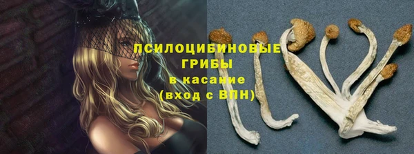 2c-b Богородицк
